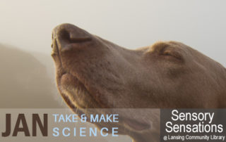 Sensory Sensations: Smell