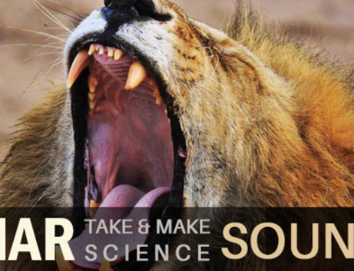 Sensory Sensations: Sound