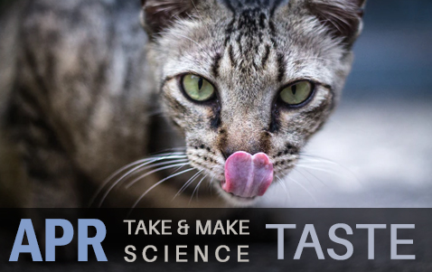 Take and Make Science - Taste