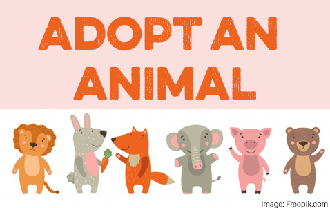 Stuffed Animal Adoption