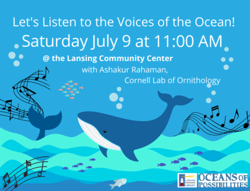 Let’s Listen to the Voices of the Ocean!