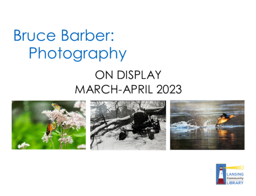 On Display – Photography by Bruce Barber