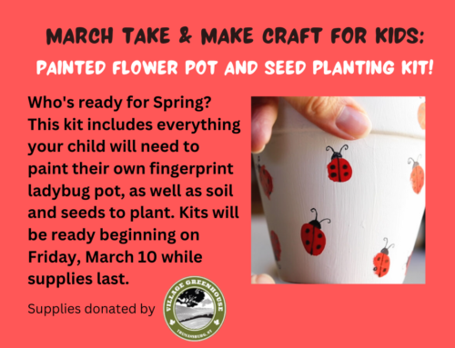 Painted Flower Pot & Seed Planting – Take & Make For Kids