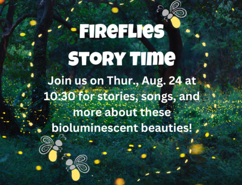Fireflies Story Time