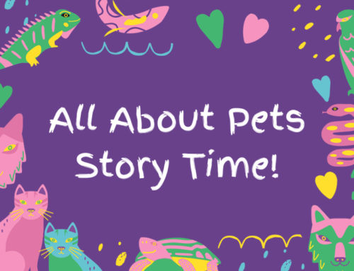 All About Pets Story Time!