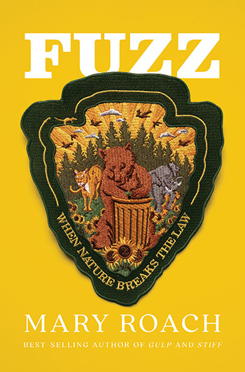 Fuzz_350